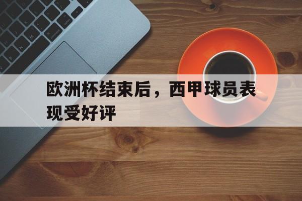 欧洲杯结束后，西甲球员表现受好评